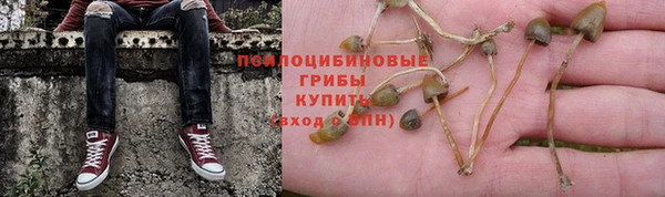 марки nbome Алзамай