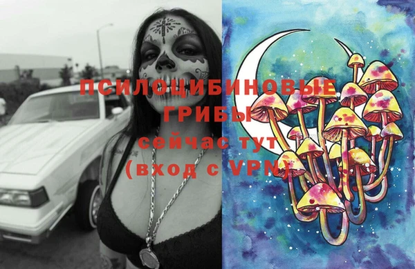 прущие крисы Алексеевка