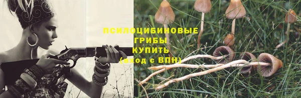 прущие крисы Алексеевка